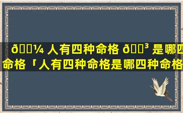 🌼 人有四种命格 🌳 是哪四种命格「人有四种命格是哪四种命格图片」